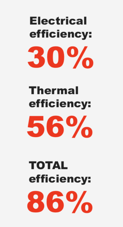 biofuel stats